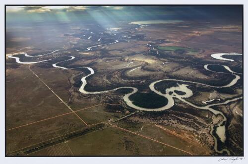 Aerial view at 3,000 feet of the Murray River near Mildura, looking down on dying red gums as a result of decreased water flow in the river, 14 November 2005 [picture] / Simon O'Dwyer, 1969-