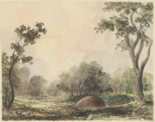 An Aboriginal Australian's grave near Pindari, New South Wales, ca. 1848 [picture] / [Edward Thomson]