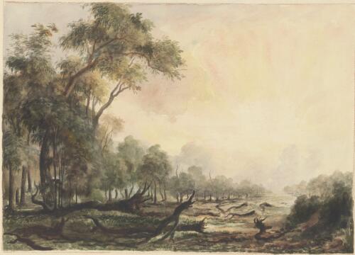 Natural avenue near Salisbury, New South Wales, ca. 1848 [picture] / [Edward Thomson]