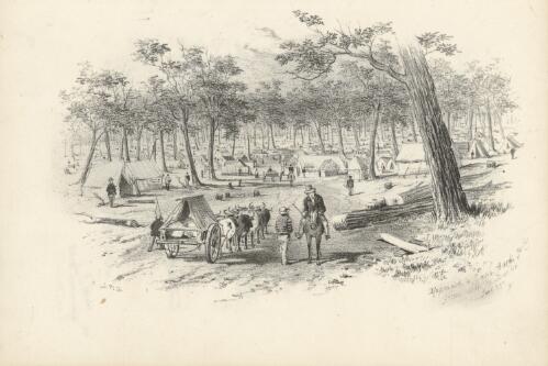 Approach to Eagle Hawk Gully from road to Bendigo / Samuel Thomas Gill ; lithographed and published by Macartney & Galbraith
