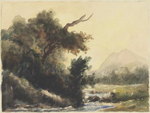 On Mole River, New South Wales, ca. 1848 [picture] / [Edward Thomson]