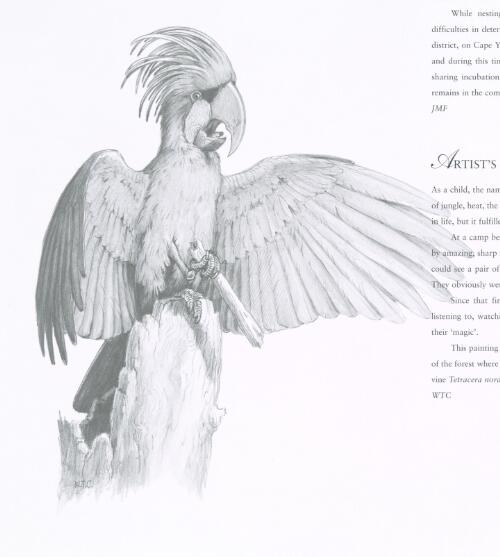 Cockatoos [picture] : a portfolio of all species / paintings by William T. Cooper ; text by Joseph M. Forshaw