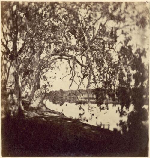 Gippsland lake scene with a tree in the foreground, Victoria, ca. 1868 [picture] / Charles Walter