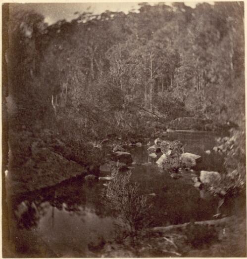 Gippsland scene of woodlands and a water course, Victoria, ca. 1868 [picture] / Charles Walter