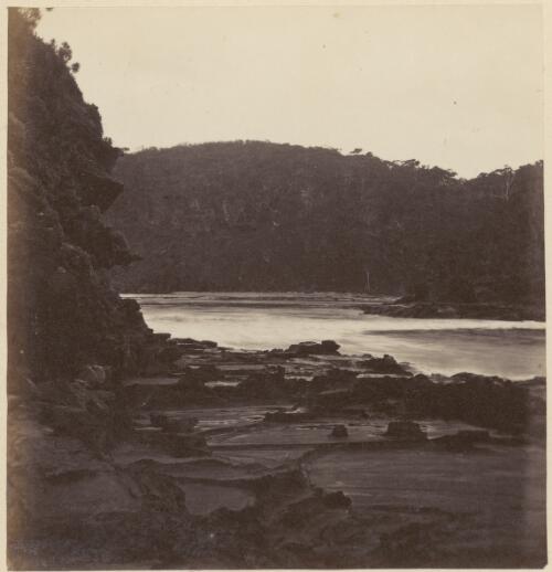 River scene along the border of New South Wales and Victoria, ca. 1868 [picture] / Charles Walter