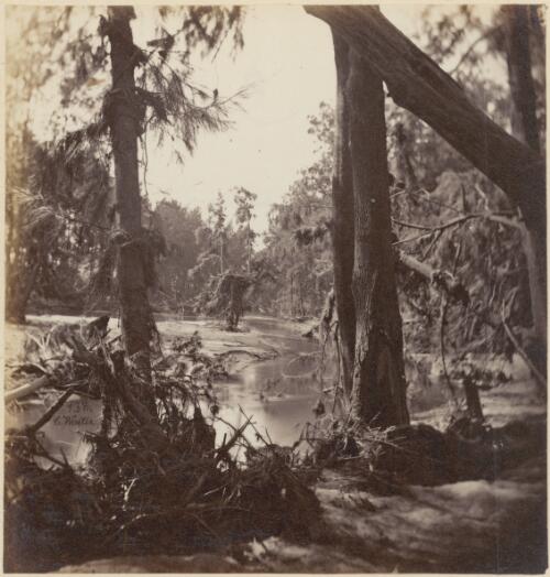 Creek bed along the border of New South Wales and Victoria, ca. 1868 [picture] / Charles Walter