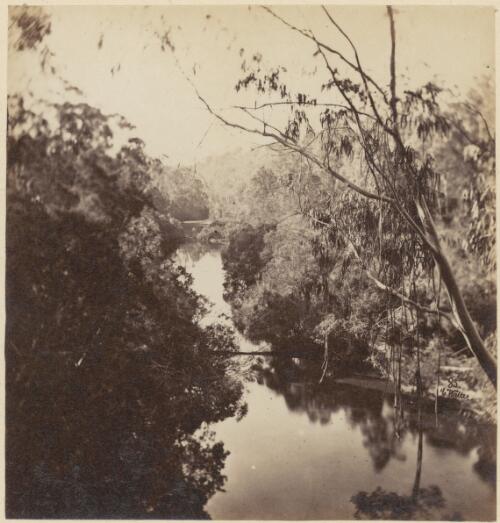 The Genoa River, Gippsland, Victoria, ca. 1868 [picture] / Charles Walter