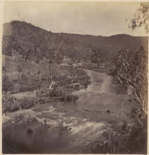 Trees hanging over a river, with bridge in the distance, New South Wales, ca. 1869 [picture] / Charles Walter