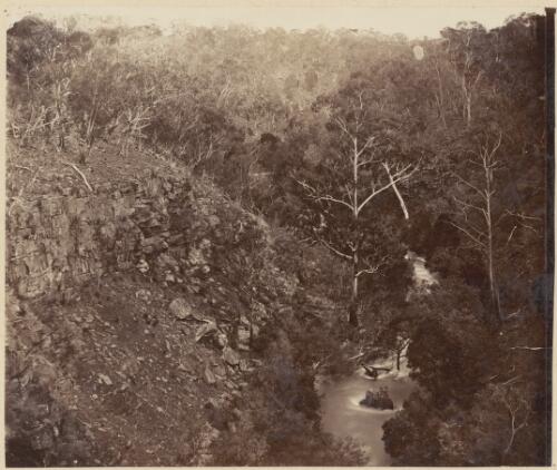 River running through the base of a gully, New South Wales [?], ca. 1869 [picture] / Charles Walter