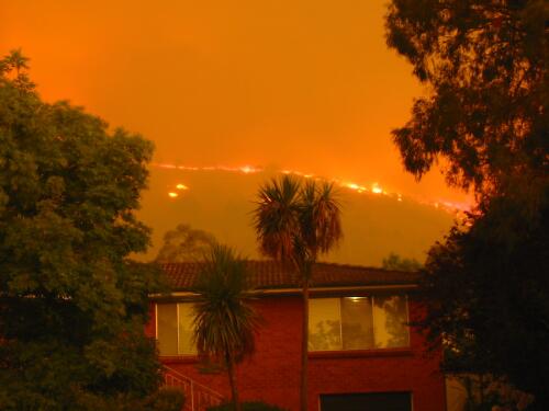 Canberra bushfires, 2003 [picture] / Christine Thomas and Simon Mockler