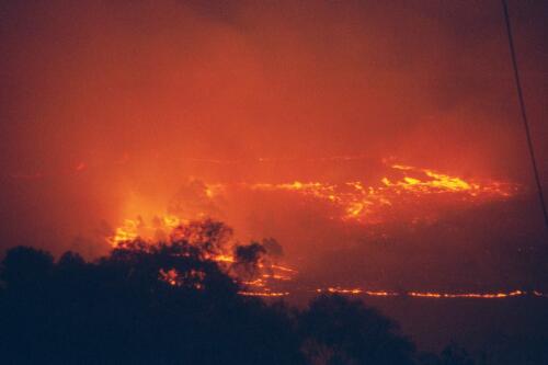 Facing towards the lower half of Mount Taylor towards Torrens [picture] / Christine Thomas