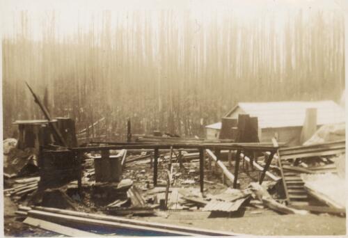 Mrs Molly Gillies burnt out house at Horsefall in 1941 or 1942 [picture]