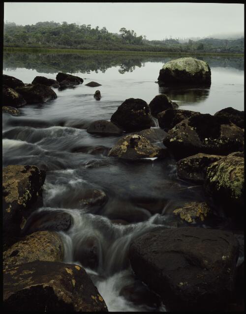 Franklin River, Lake Dixon, Tasmania, 1979, 1 [transparency] / Peter Dombrovskis