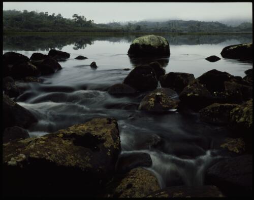 Franklin River, Lake Dixon, Tasmania, 1979, 4 [transparency] / Peter Dombrovskis