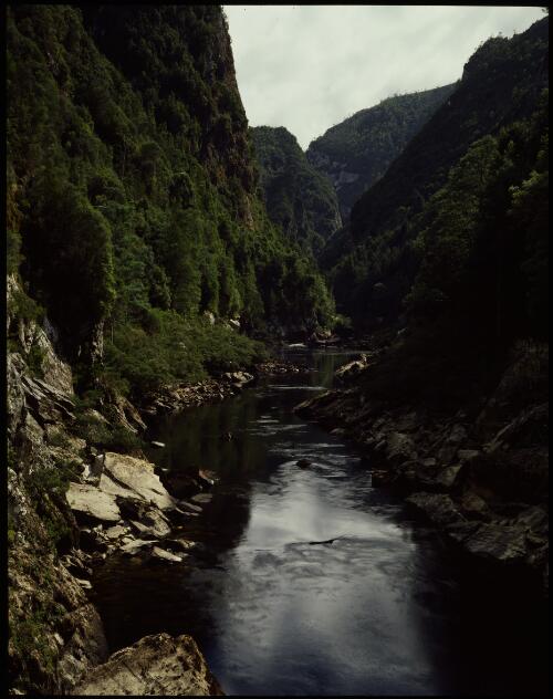 Transcendence Reach, Great Ravine, Franklin River, Tasmania, 1979 [transparency] / Peter Dombrovskis