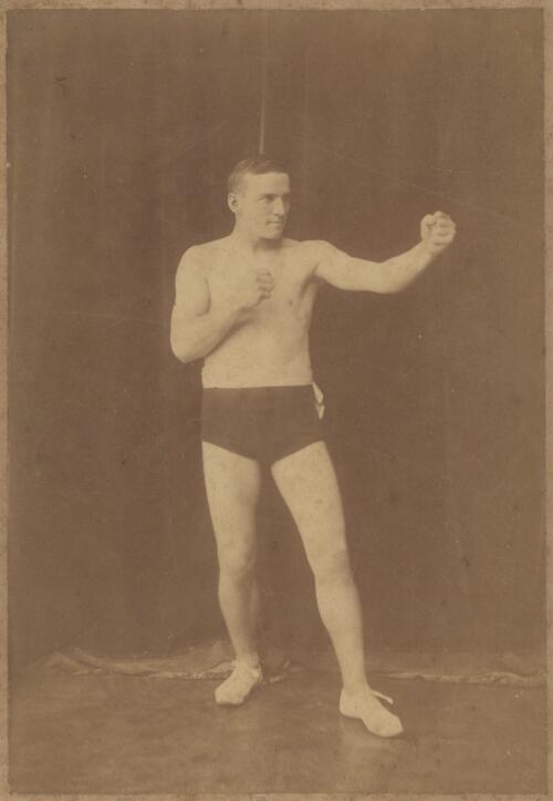 Portrait of an unidentified middleweight boxer [picture] / Brand, Sydney