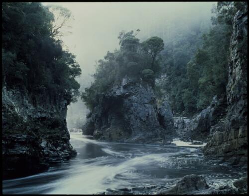 Morning mist, Rock Island Bend, Franklin River, Tasmania, late 1980 or early 1981 [picture] / Peter Dombrovskis