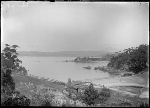 View of Cattle Bay, Eden; Mount Imlay in background, ca. 1900 [picture]