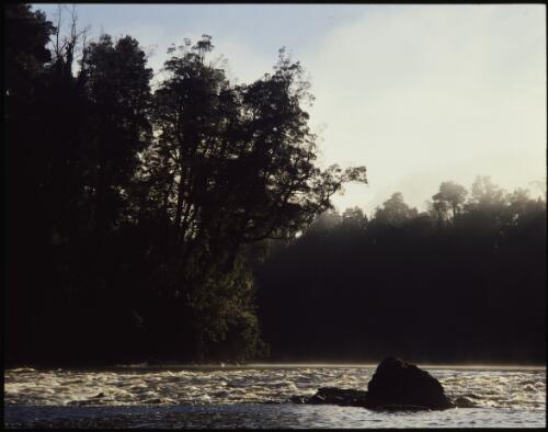 Lower Franklin below Jane Junction, Franklin River, Tasmania, 1979, 2 [transparency] / Peter Dombrovskis