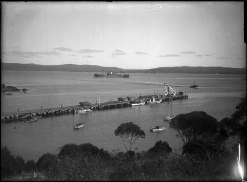 View of Snug Cove, Eden, with wharf and cargo ship in Twofold Bay (for sleepers?) [picture]