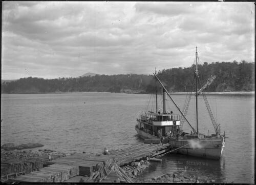 Loading timber sleepers on the 'Bellinger' at Quarantine Bay, Eden, New South Wales, [1] [picture]