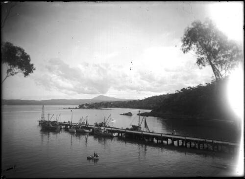 Fishing boats at Eden Wharf; Mount Imlay in background, [2] [picture]