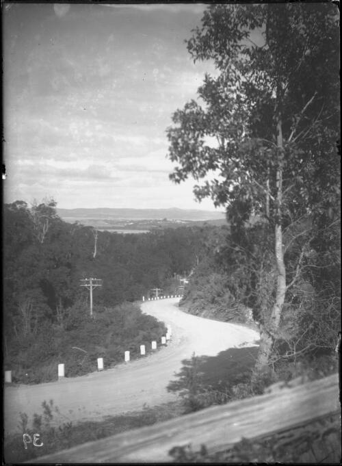 View of Eden from top of Bellbird Hill, ca. 1900 [picture]