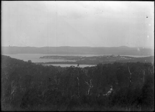 Eden and Twofold Bay, from Bell Bird Hill [picture]