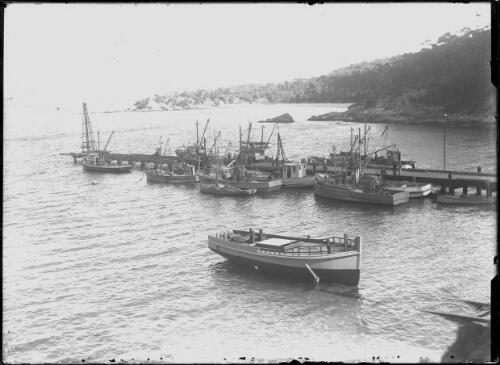 Fishing boats at Eden Wharf; Mount Imlay in background; partly completed boat near slipway in foreground [picture]