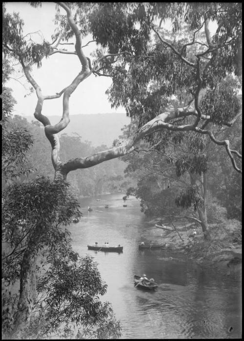 [Boating at Audley, Royal National Park, New South Wales?] [picture]