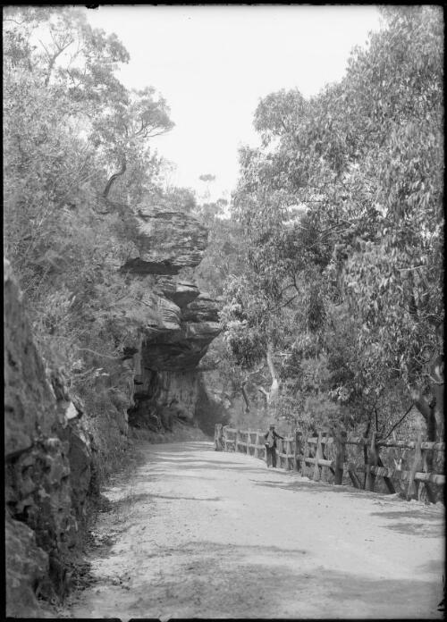 [Road near cliff, Royal National Park?, 2] [picture]