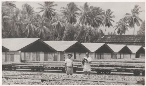 Copra drying on trolleys, Home Island, Cocos Islands between 1952 and 1954 [picture] / Tom Meigan