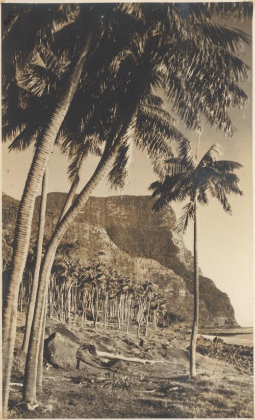 [Mount Gower] Lord Howe Island, 1954 [picture] / Tom Meigan