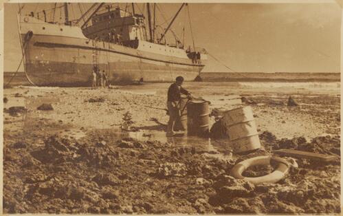 Ship washed ashore at Lord Howe Island, 1954 [picture] / Tom Meigan