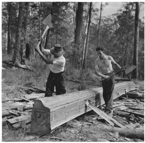 Broadaxemen 2, Telegraph Point, New South Wales,1955 [picture] / Jeff Carter