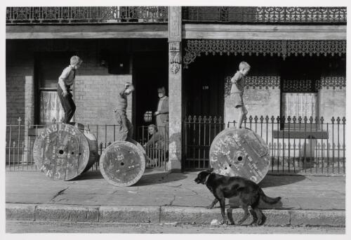 Chippendale, Sydney, 1959 [picture] / Jeff Carter