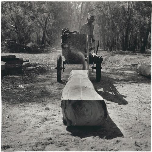 Sleeper cutter, Barmah Forest, New South Wales,1952 [picture] / Jeff Carter