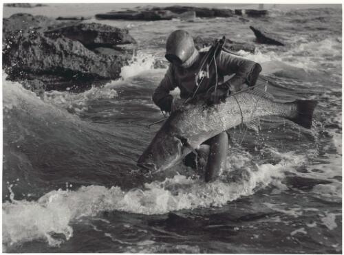 Spearman and mulloway, Central Coast, New South Wales,1952 [picture] / Jeff Carter