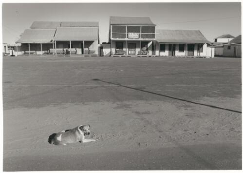 Saturday arvo, Broome, Western Australia, 1967 [picture] / Jeff Carter