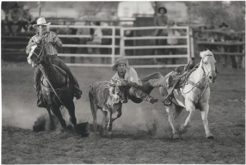 Bull dogging, Saxby Roundup, Queensland, 1996 [picture] / Jeff Carter