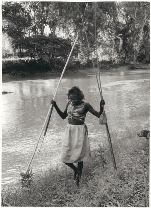 East Alligator River, Northern Territory, 1961 [picture] / Jeff Carter