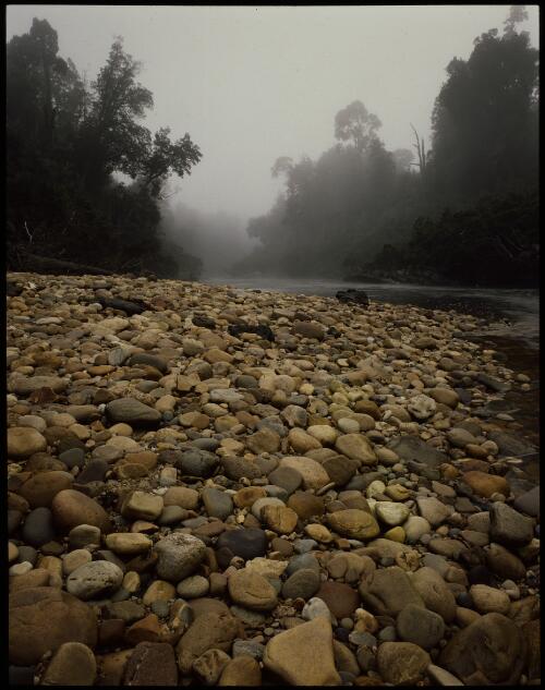 Riverbank shingles below Big Fall, lower Franklin River, Tasmania, 1979, 2 [transparency] / Peter Dombrovskis