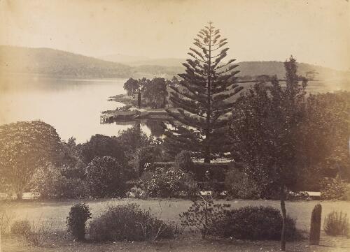 [Parkland and river at unidentified location in Tasmania, 1] [picture]