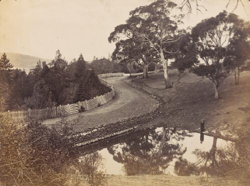 [Parkland and river at unidentified location in Tasmania, 2] [picture]
