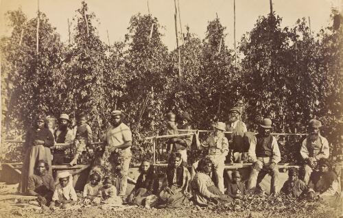 Group of Aboriginals in hop gardens, Corranderk [picture]