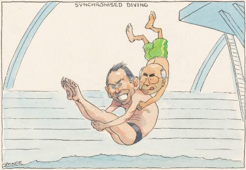 Synchronised diving, 28 March 2006 [picture] / Spooner