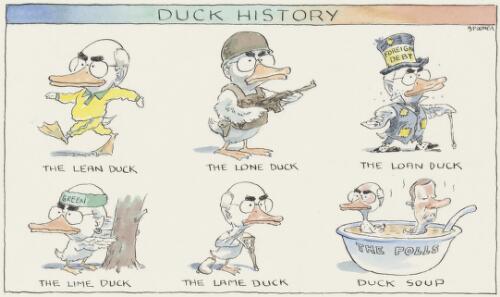 Duck history, 15 September 2007 [picture] / Spooner