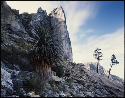 Nicoles Needle, Frenchmans Cap region, southwest Tasmania, 1989, 1 [transparency] / Peter Dombrovskis