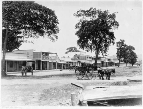Abbott Street, Cairns [Queensland] [picture]