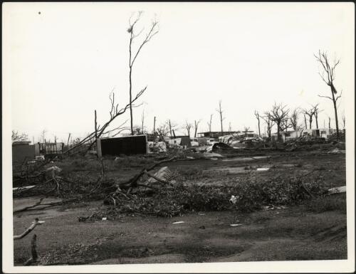 Caravan park in Darwin after Cyclone Tracy, December, 1974 [picture] / Alan Dwyer